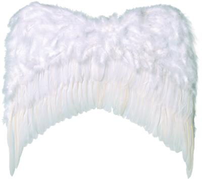 Alas plumas 59x56 cm