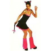Gatita pussycat
