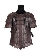 Armadura  vikingo