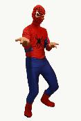 Spider 