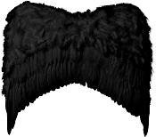 Alas plumas 59x56 cm